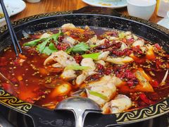 -蜀渔轩美蛙鱼火锅(郫筒店)