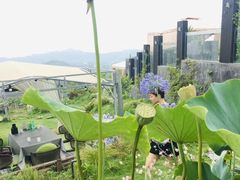 -云里小坐·小院里·团建·宴请·下午茶(三圣乡店)