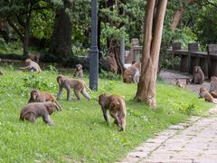 -苏州上方山国家森林公园