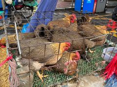 -清远三鸟海鲜农贸市场