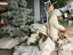 -IMON·HANSA潮玩玩偶毛绒玩具(通州万象汇店)