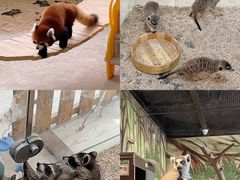 -海合安武汉极地海洋公园