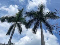 -光明小镇欢乐田园