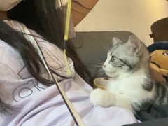 -猫爪屋猫咖(乐汇城店)