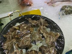 -肥仔濑尿虾(全球通总店)
