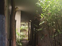 -森SPA·泰式按摩·精油Massage(宝安中心店)