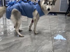 -宠颐生宠物医院·综合诊疗(先锋分院)