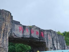 -合肥野生动物园