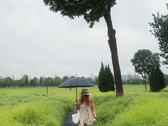 -汉长安城未央宫国家考古遗址公园