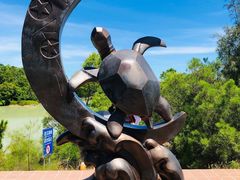 -广东惠东海龟国家级自然保护区