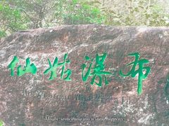 -姑婆山旅游区