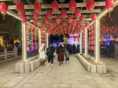 -葫芦古镇关东民俗雪乡