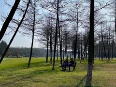 -宜兴龙背山森林公园