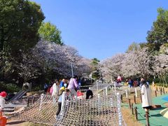 -杭州少年儿童公园