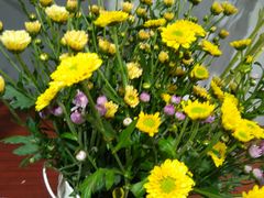-何兮花店·气球派对鲜花店(马桥银春路万科城店)
