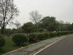 -南京市江宁方山