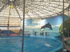 -尼莫海豚馆