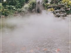 -柳侯公园