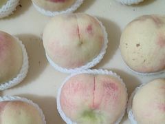 -老袁家蜜桃农场·阳山水蜜桃