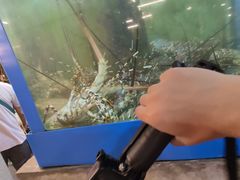 -大螃蟹海鲜餐厅