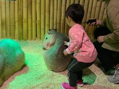 -萌宠奇缘