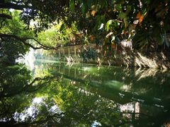 -小洲村