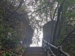 -光雾山旅游景区