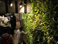 -外婆家(杭州马塍店·杭帮菜名店)