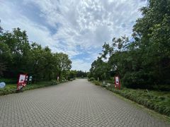 -上海海湾国家森林公园