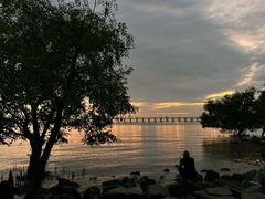 -宝安西湾红树林湿地公园