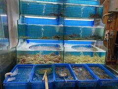 水产区-老东镇啤酒屋海鲜加工·蒸汽海鲜·海鲜烧烤(台东店)