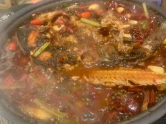 -宝记烧烤·碳锅羊肉·羊蝎子火锅·夜食社(文体路创始店)