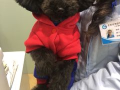 -瑞派·关忠动物医院·猫专科·犬专科(三环新城店)