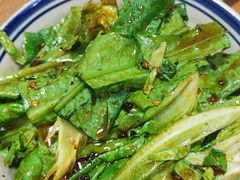 -陈有良尖椒鸡(渝中旗舰店)