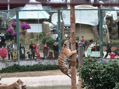 -泉州海丝野生动物世界