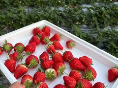 -兴芮温泉度假区