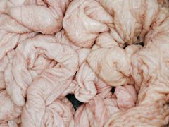 -岳各庄批发市场(西四环中路店)