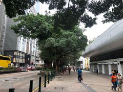 -九龙公园