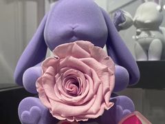 -ROSEONLY诺誓(国际广场购物中心店)