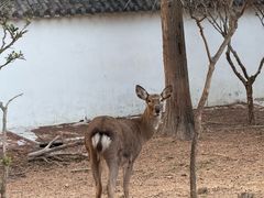 -观唐（国际）度假村温泉