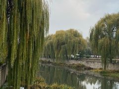 -白玉兰商务酒店(曲阜三孔景区春秋西路店)