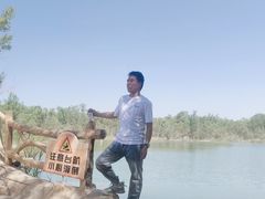 -金塔沙漠胡杨林景区