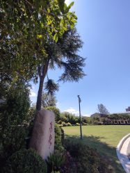 -华东饭店·园林式婚礼宴会厅酒店