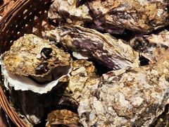 -蚝堡海鲜·威海菜·海肠捞饭·烧烤·亚洲吃蚝公司(幸福门店)