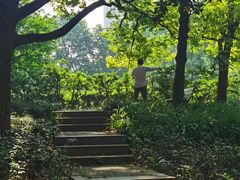 -徐家汇源景区-衡山公园