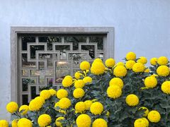 -杭州植物园