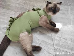 -派特宠物医院(圆融广场店)