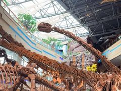 -安徽省地质博物馆