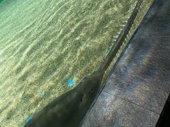 -上海海洋水族馆