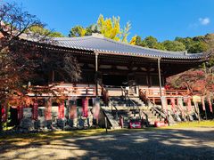 -醍醐寺